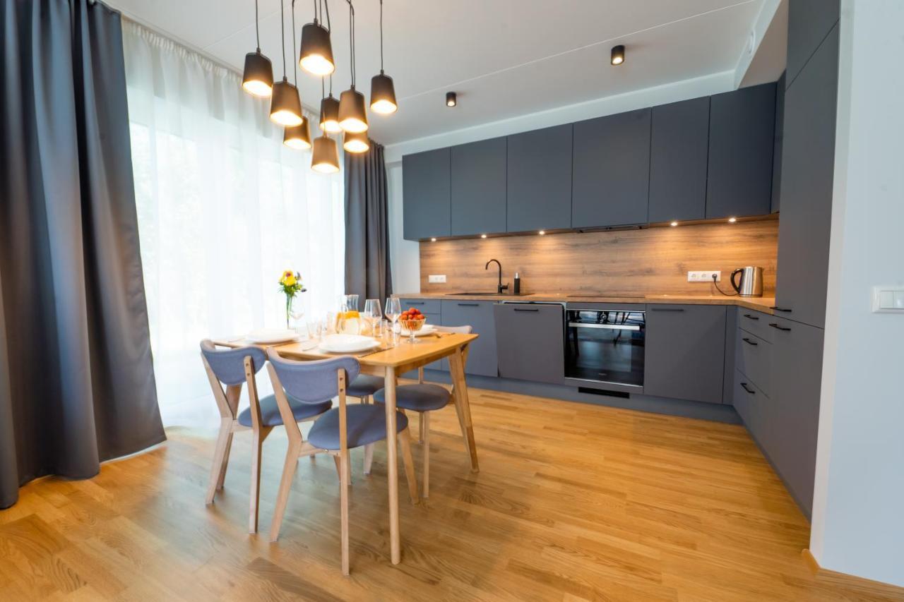 Delta Luxury Apartment With Terrace Тарту Екстер'єр фото